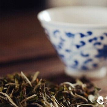 Ten Things You Must Know About White Tea