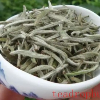 Brewing Water Temperature and Time for White Tea