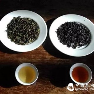 How is Tea Fermented? It's Actually a Chemical Reaction