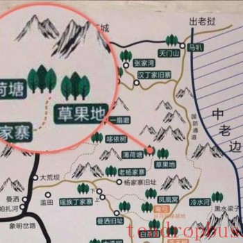 Lao Xu on Tea: Lao Xu Takes You Through the Series on Famous Mountains and Villages – Bohetang