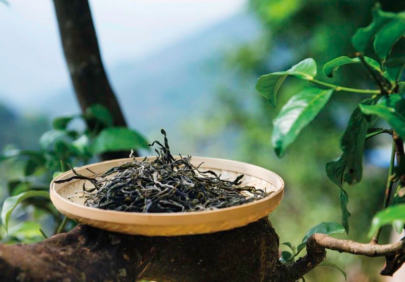 How to Brew Different Types of Delicious Black Tea?