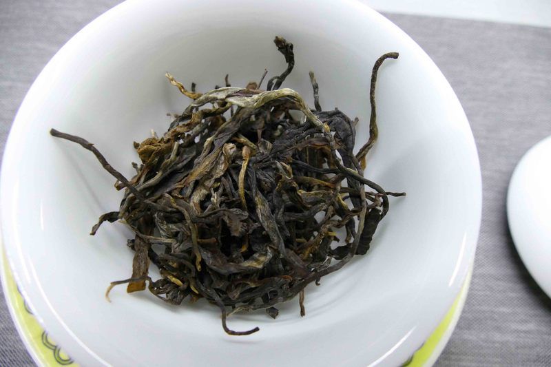 What Should We Really Appreciate in Ancient Tree Tea?
