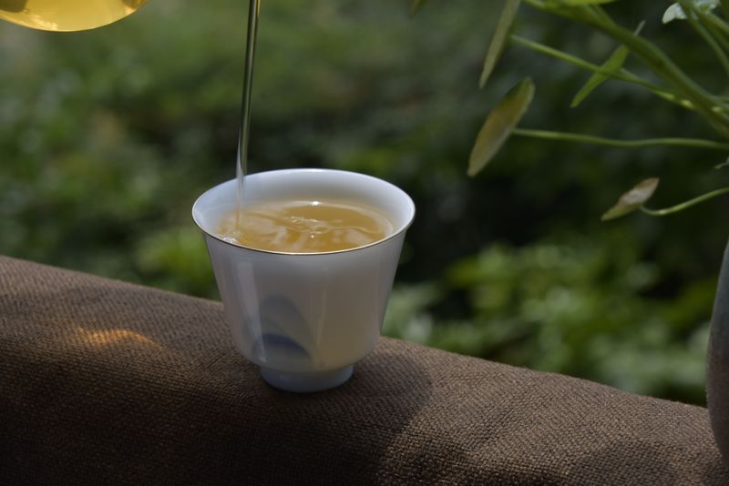 Technical Guidelines for Tea Gardens to Cope with High Temperatures and Drought