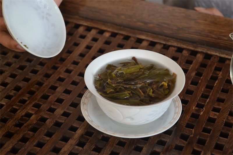 Wangcang County: Green "Small Tea Leaves" Fuel a New Prosperous Industry