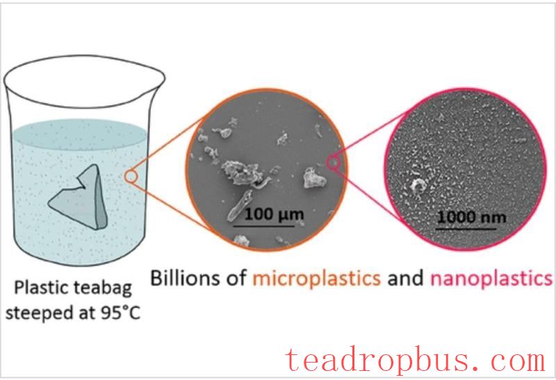 tea bag microplastics