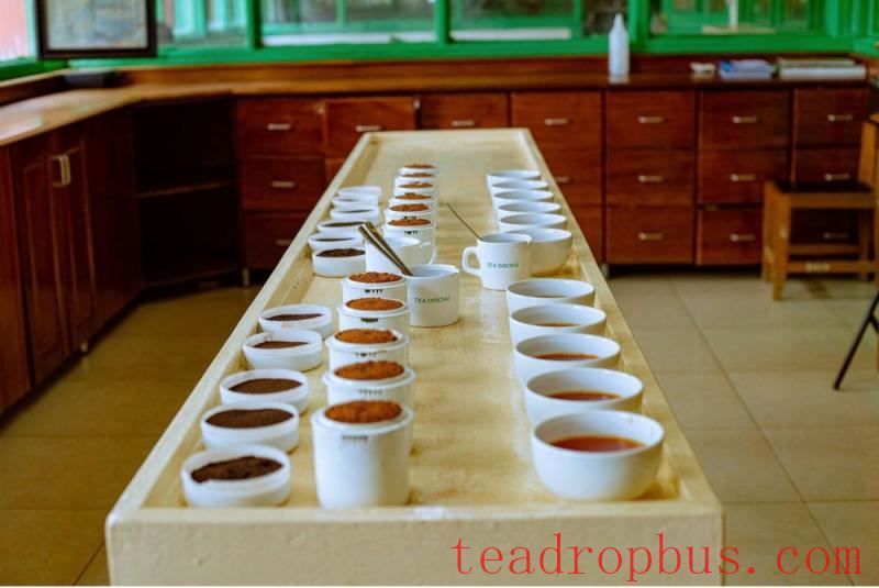 silverback tea company rwanda