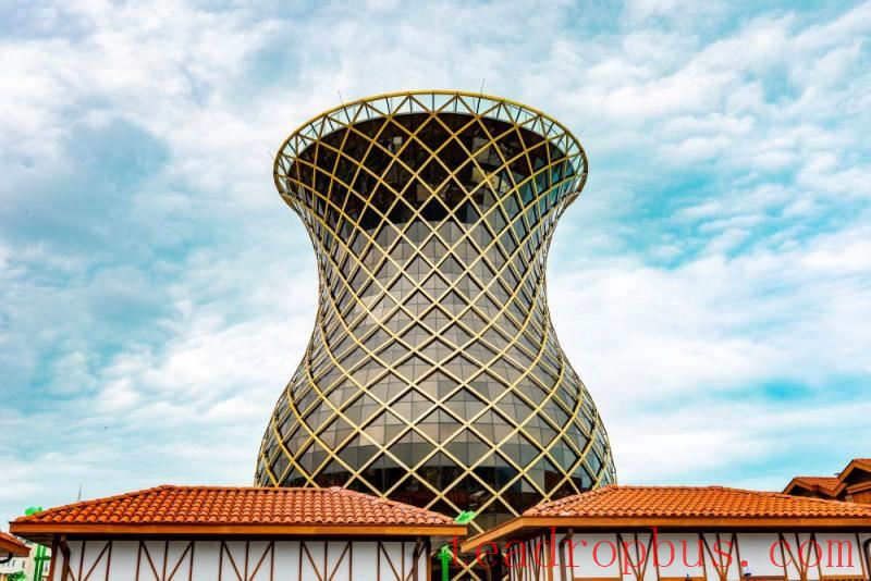 Turkish tea tulip glass