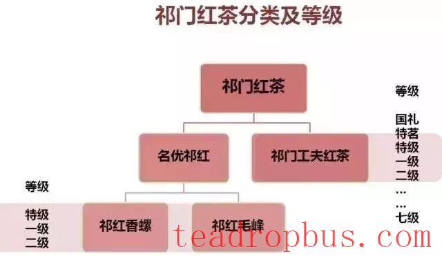 Why is Traditional Qimen Black Tea “Broken”?-3