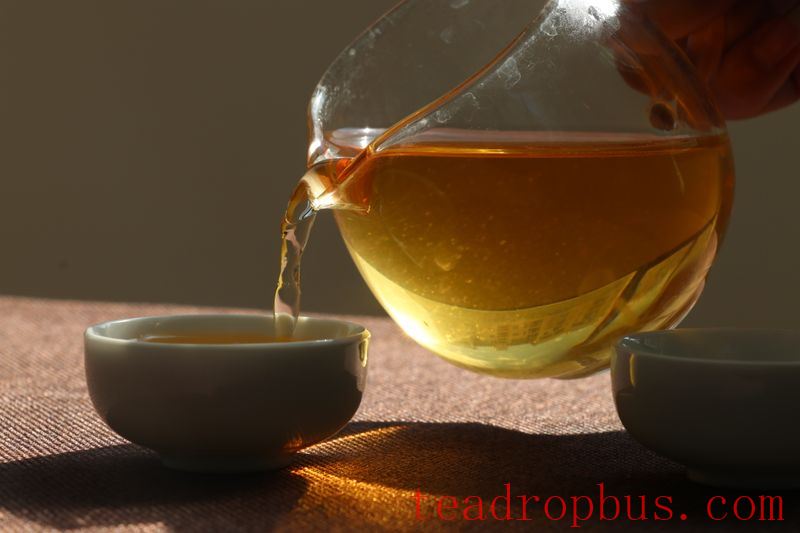 Puer Tea: Should You Drink It Fresh or Aged?-4