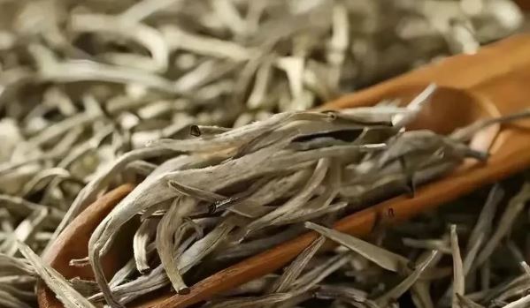 What is White Dragon's Beard Tribute Tea?-2