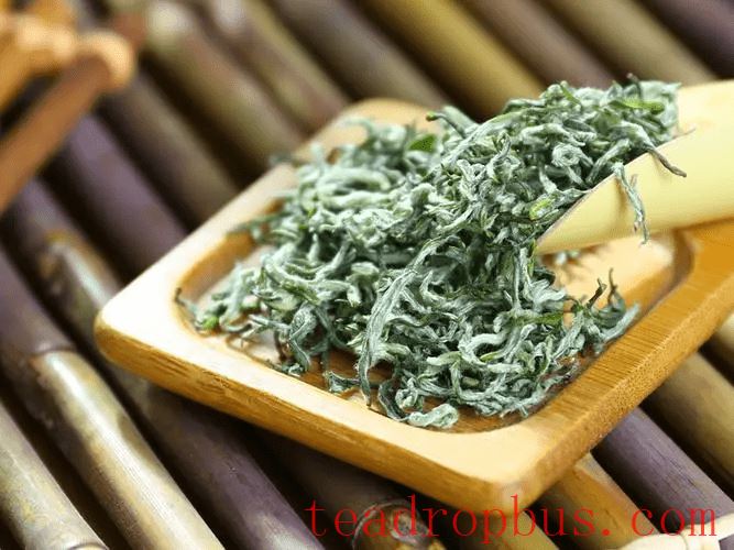 Mengding Ganlu or Emei Xueya: Which is Better? The Differences and Characteristics of These Two Green Teas-1