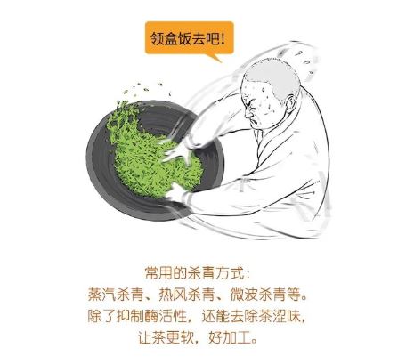 How Can You Buy Tea Without Understanding It? A Beginner's Guide to Identifying Tea-16