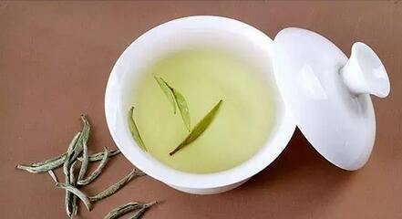 Ten Things About White Tea – How Many Do You Know?-3-ChinaTeaGuru: Exploring Chinese Tea Culture and Kung Fu Tea - Tea Art, Tea Ceremony, Tea Knowledge Ten Things About White Tea – How Many Do You Know?-3