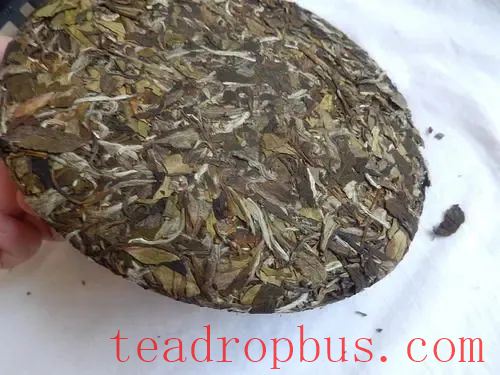 Fuding White Tea Knowledge Compilation: Loose Leaf or Cake Tea, Which to Choose?-7