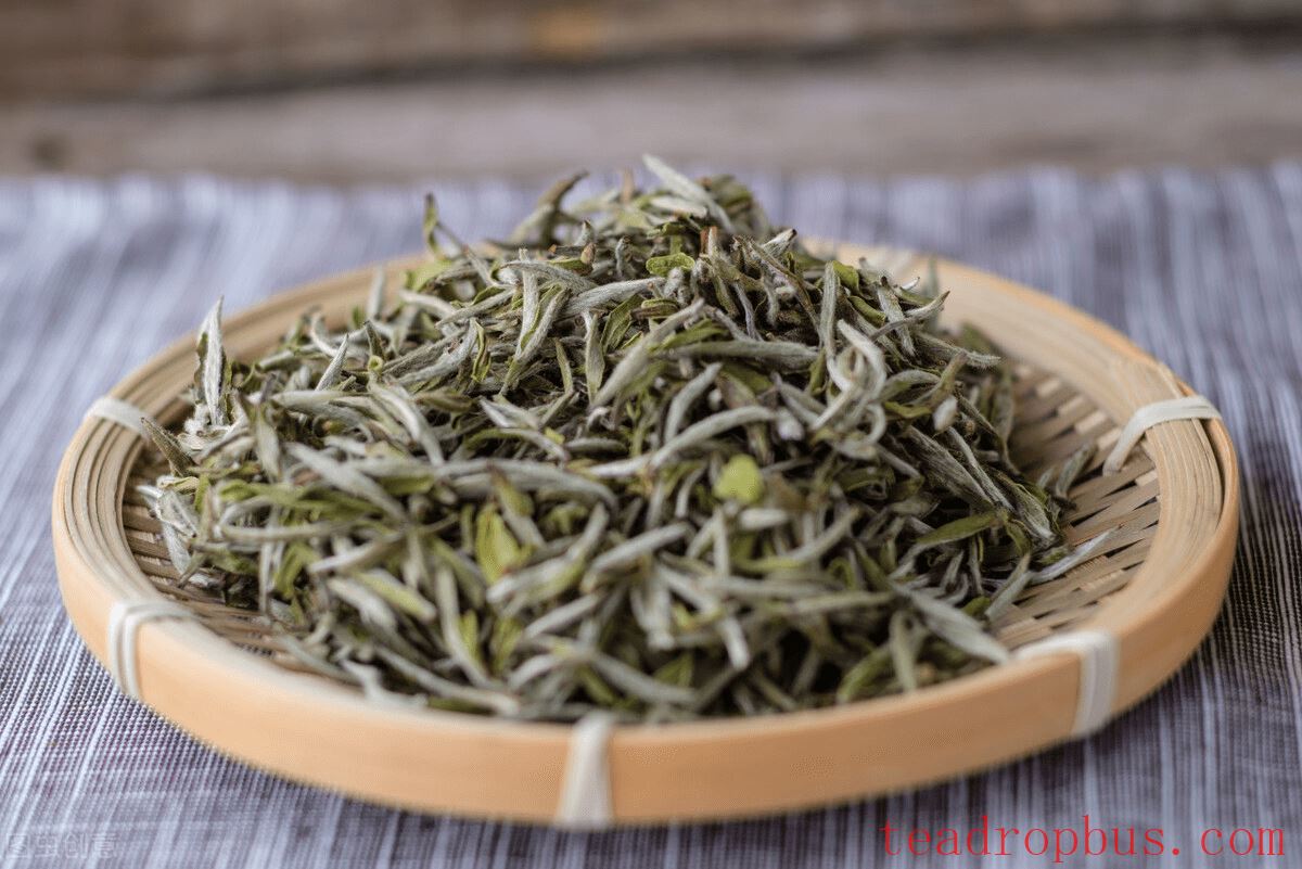 What Are the Benefits of White Tea for Women?-1