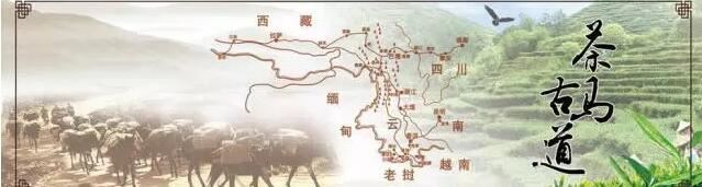 The Tea Horse Road: The Soul of Pu'er Tea Culture-1-ChinaTeaGuru: Exploring Chinese Tea Culture and Kung Fu Tea - Tea Art, Tea Ceremony, Tea Knowledge The Tea Horse Road: The Soul of Pu'er Tea Culture-1