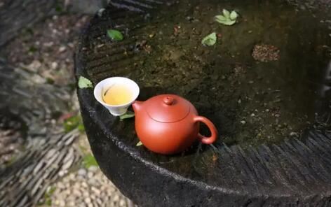 Now, Have a Cup of Tea for Your Future Self-5