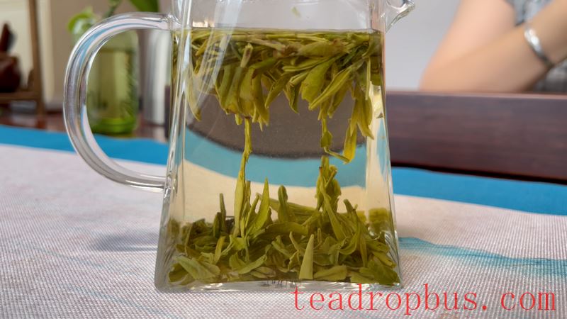 Taboos of Drinking Green Tea-1