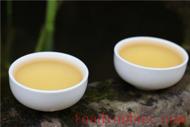 Taste Characteristics of Yiwu Mahhei Ancient Tree Tea-1