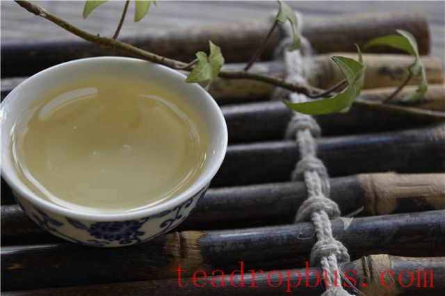 Where Does the Freshness in a Simple Cup of Tea Come From?-2