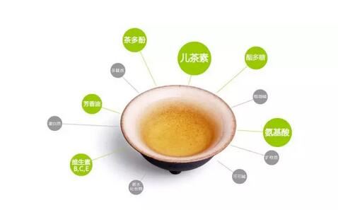 How to Distinguish the Quality of Tea?-7