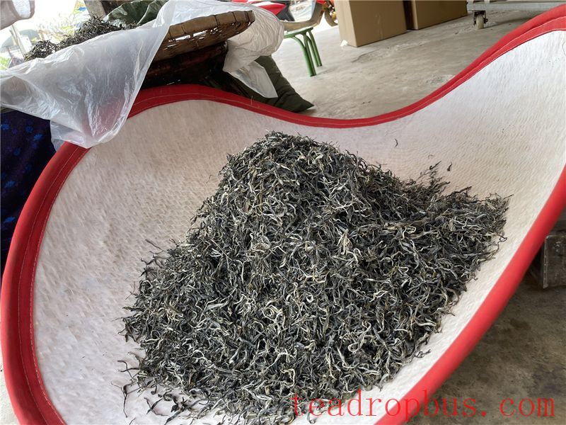Puer Loose Tea and Compressed Tea: Interwoven Yet Distinct-1
