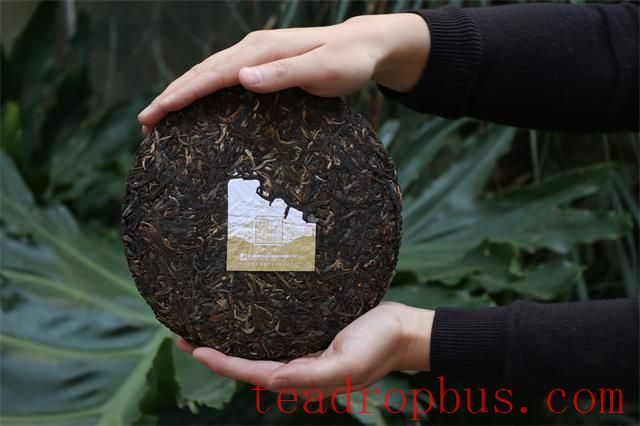 Storage Methods for Pu'er Tea Cakes-2