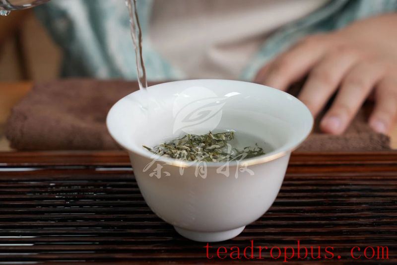 The Wrong Way to Store Green Tea: Trouble is Brewing-5