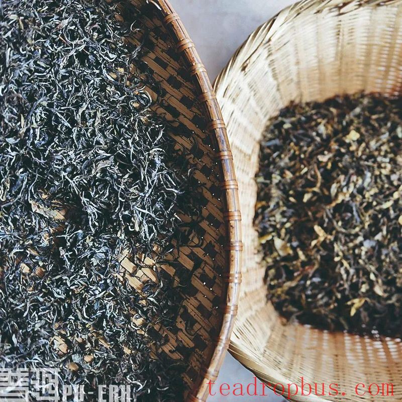 Origin Storage: Bringing More Yunnan Flavor to Pu'er Tea-4