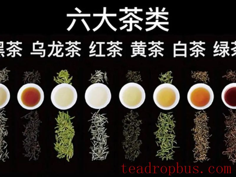 When Buying Tea, Is Experience More Important Than Data?-5