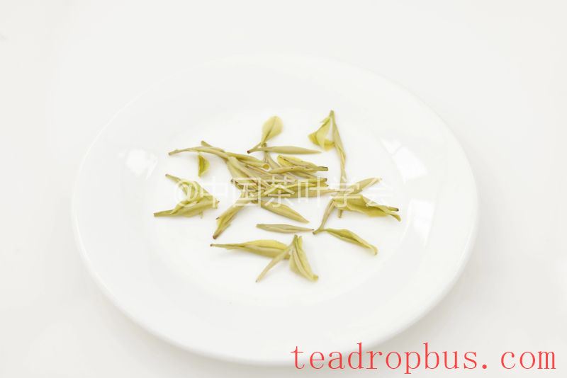 Weekly Tea Knowledge: I Know the Fresh Taste! Let's Talk About the Whitening and Yellowing of Tea Leaves ①-16