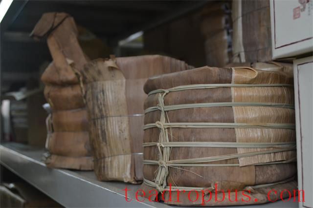 Puer Tea Storage Mistakes – Have You Made Them?-3