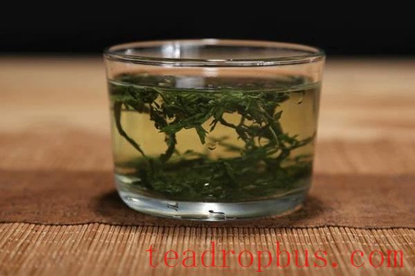 Can Mugwort be Used to Make Tea? Discover the Amazing Benefits of This Ancient Herb-3