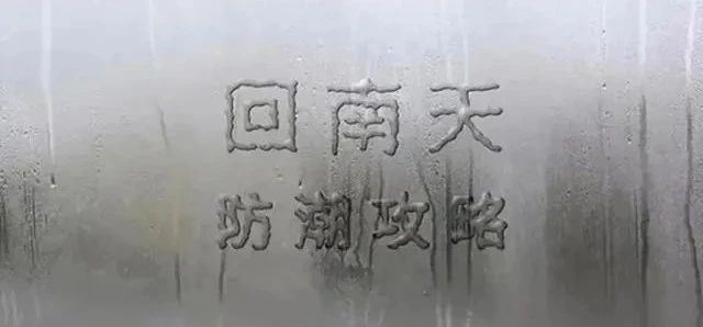 Preparation for the Return of Spring Moisture: Ancient Wisdom on Storing Tea-1