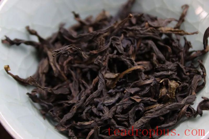 Can Yancha Be Stored Long-Term? Here's the Answer!-1