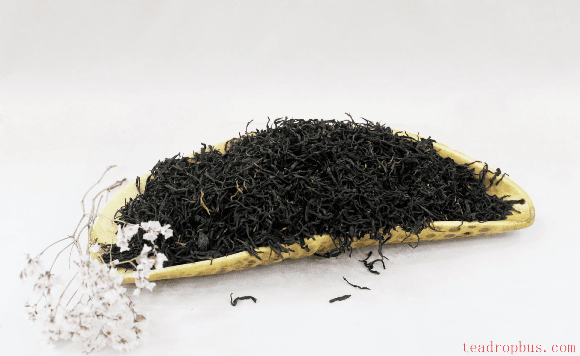 What is Lapsang Souchong? The Ancestor of World Black Teas.-4
