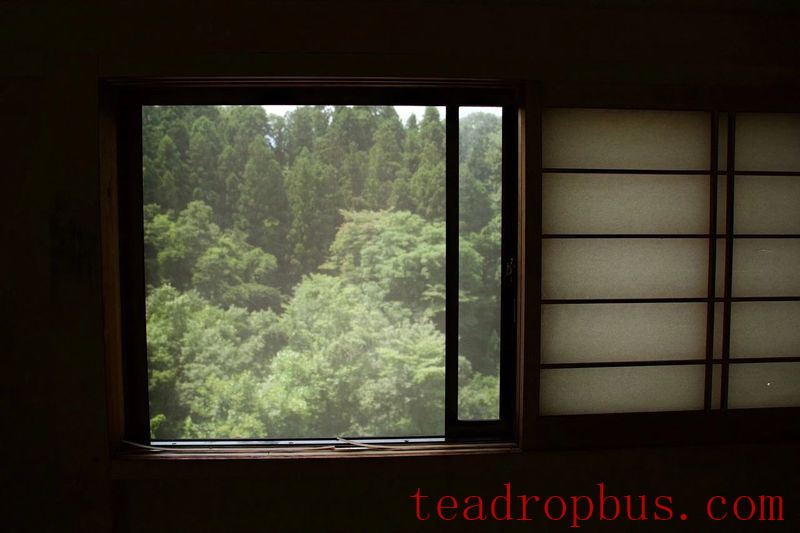 Tea Storage Tips: With Rainy and Humid Weather Here, How Are Your Teas Holding Up?-3