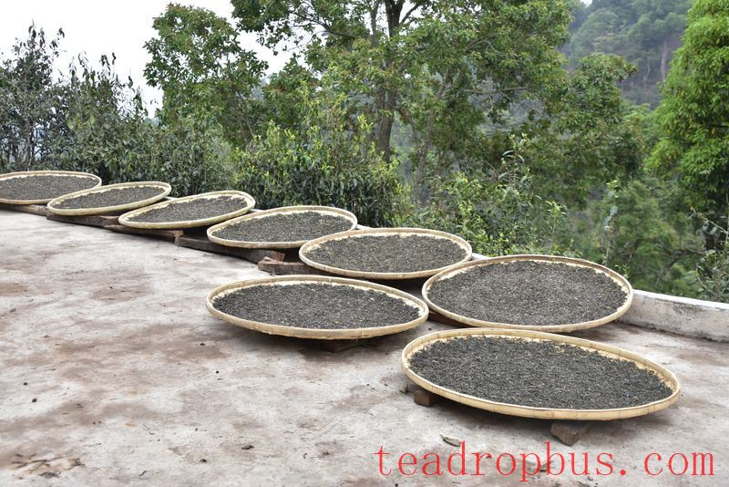 Features of the He Kai Ancient Tree Tea-2