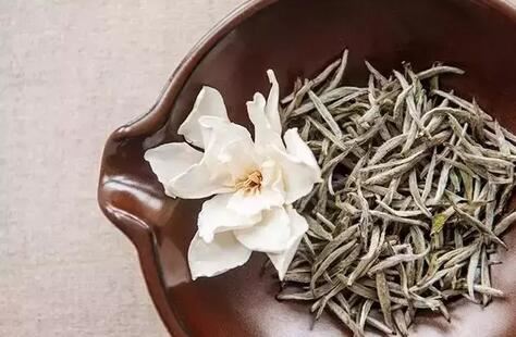White Tea at its Best Beats Cordyceps Sinensis!-1-ChinaTeaGuru: Exploring Chinese Tea Culture and Kung Fu Tea - Tea Art, Tea Ceremony, Tea Knowledge White Tea at its Best Beats Cordyceps Sinensis!-1