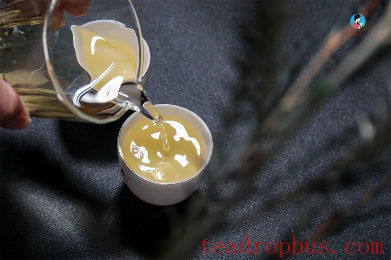 Can the Vintage of Pu'er Tea Be Determined by Its Characteristics?-1