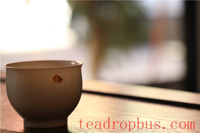 Puer Tea Storage Methods and Conditions-1