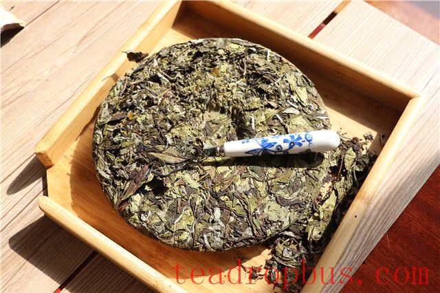 How to Store White Tea Best-2