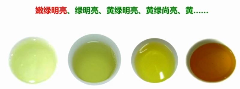 Selecting and Preserving High-Quality Early Spring Green Tea-10