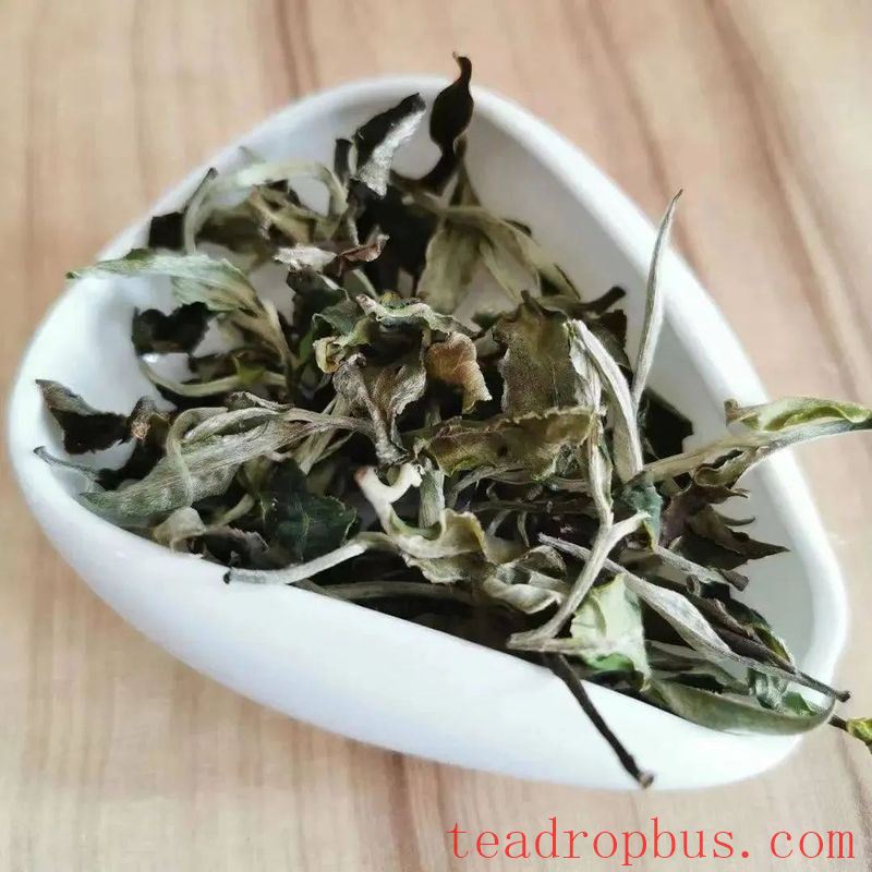 The Allure of the Green Flavor in Fresh White Tea: Exploration and Enlightenment-1