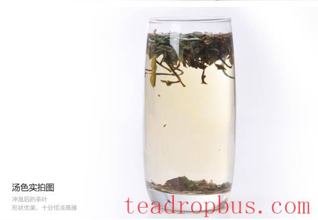 White Tea from Zhenghe: 