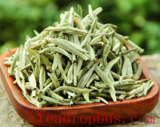 The Mystique of White Tea: A Comprehensive Exploration from History to Appreciation-2