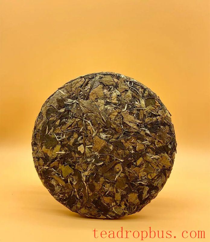 The Enigma of Aged White Tea: Why Isn't Ten Years More Aromatic Than Three?-2