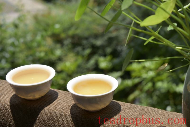 The Benefits and Effects of Pu'er Spring Tea-3