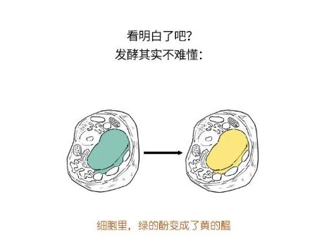 How Can You Buy Tea Without Understanding It? A Beginner's Guide to Identifying Tea-9