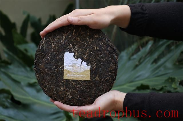 How to Select Pu'er Tea?-3